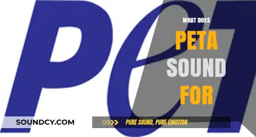 Understanding PETA: What Does PETA Stand For and Its Mission Explained