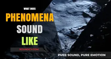 Exploring the Sonic Landscape: What Does Phenomena Sound Like?
