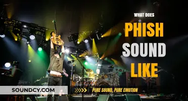 Exploring Phish's Unique Sound: A Fusion of Genres and Improvisation
