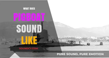Unveiling the Unique Sonic Signature of a Pigboat: What to Expect