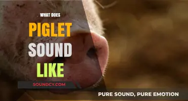 Discovering the Adorable Squeaks and Grunts of Piglets: What Do They Sound Like?