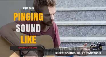 Unveiling the Unique Acoustic Signature of a Ping Sound
