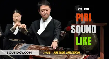 Exploring Piri's Unique Sound: A Blend of Tradition and Innovation