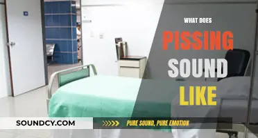 Exploring the Unique Sounds of Urination: What Does Pissing Sound Like?