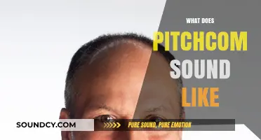 Exploring PitchCom's Unique Sound: A Comprehensive Audio Breakdown