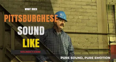 Unraveling Pittsburghese: A Unique Accent and Its Distinctive Sounds