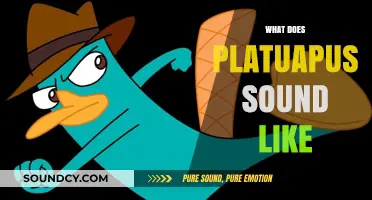 Unveiling the Unique Vocalizations: What Does a Platypus Sound Like?