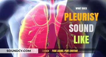 Understanding Pleurisy: Identifying the Distinct Sounds of Lung Inflammation