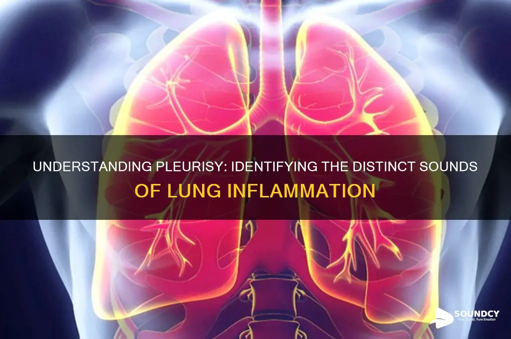 what does pleurisy sound like