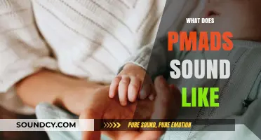 Unveiling PMADS: Understanding the Sounds and Symptoms of Postpartum Mood Disorders