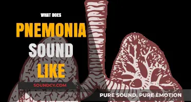 Unveiling Pneumonia's Signature: What Does Pneumonia Sound Like?