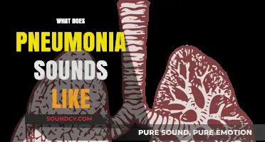 Listening to Pneumonia: Identifying the Distinct Sounds of Infected Lungs