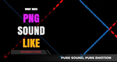 What Does PNG Sound Like? Exploring the Auditory Illusion of File Formats
