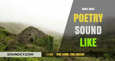 Exploring the Sonic Landscape: What Does Poetry Sound Like?