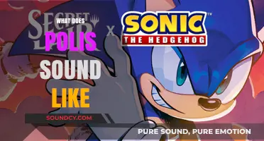 Exploring the Sonic Identity: What Does Polis Sound Like?