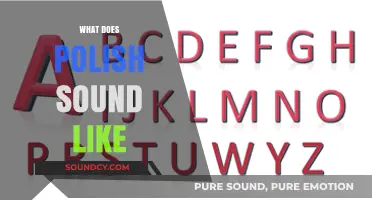 Exploring the Unique Rhythms and Melodies of the Polish Language