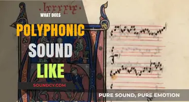 Exploring Polyphonic Music: Rich Harmonies and Layered Vocal Textures Explained