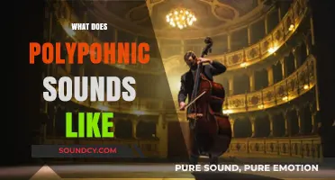 Exploring Polyphonic Sounds: A Rich, Layered Musical Experience Explained