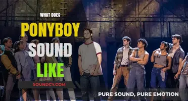 Unveiling Ponyboy's Voice: A Deep Dive into His Unique Tone