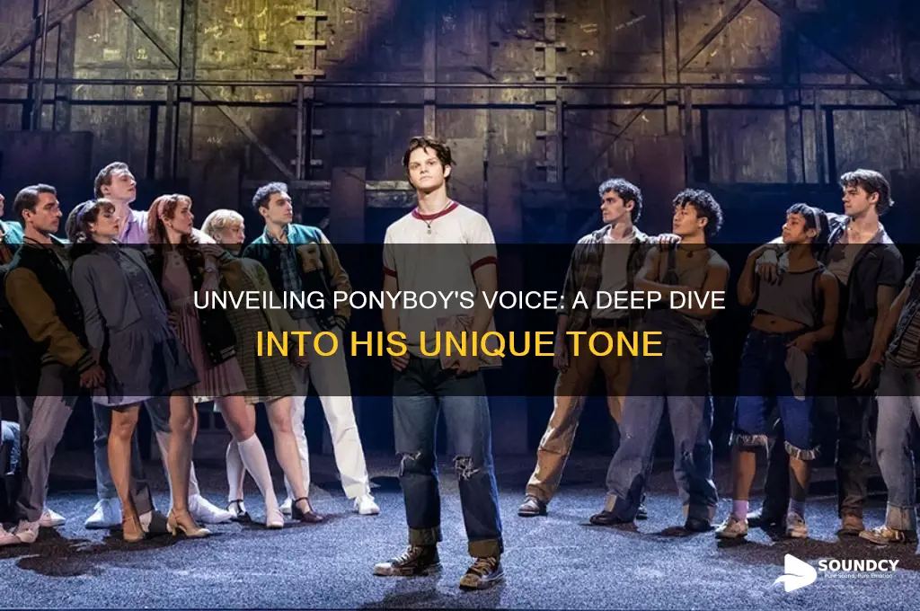what does ponyboy sound like