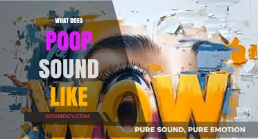 Exploring the Curious Sounds of Poop: What Does It Really Sound Like?