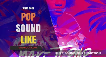 Exploring the Vibrant, Catchy, and Diverse World of Pop Music's Sound