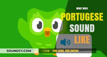 Exploring the Melodic Rhythms and Unique Pronunciations of Portuguese Speech