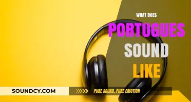 Exploring the Unique Melody and Rhythm of Portuguese Pronunciation