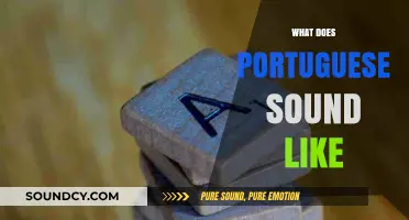 Exploring the Melodic Rhythms and Unique Pronunciations of Portuguese Speech