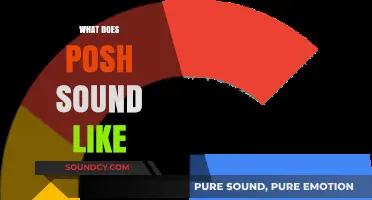 Decoding Posh Accents: What Does Posh Sound Like and Why?