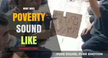 What Does Poverty Sound Like: Voices, Silence, and the Echoes of Need