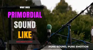 Unveiling the Mystical Resonance: What Does Primordial Sound Like?