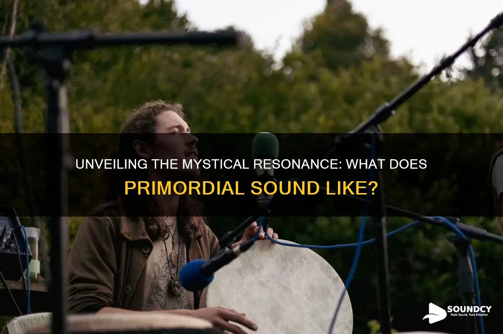 what does primordial sound like