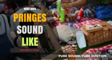 What Does Pringes Sound Like? Exploring the Unique Audio Experience