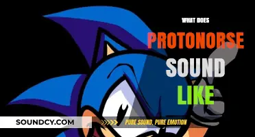 Unveiling the Unique Sonic Identity of Protonorse: A Comprehensive Exploration