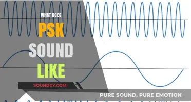 Exploring the Unique Sonic Signature of PSK in Communication