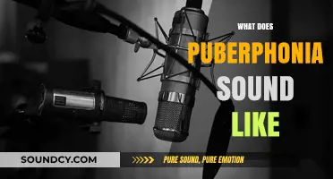 Understanding Puberphonia: What Does This Adolescent Voice Disorder Sound Like?