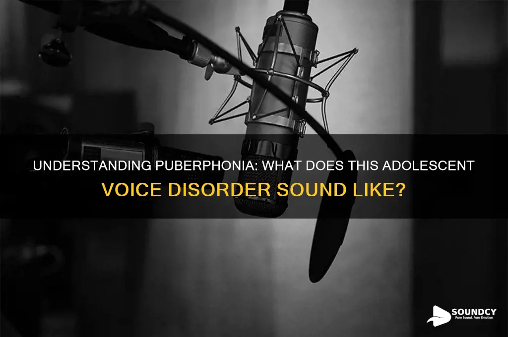 what does puberphonia sound like