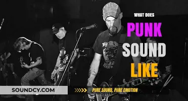 Unraveling the Raw, Rebellious, and Unapologetic Sound of Punk Music