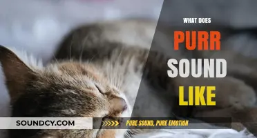 Decoding the Soothing Melody: What Does a Cat's Purr Sound Like?
