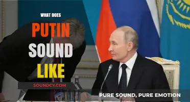 Decoding Putin's Voice: Tone, Accent, and Rhetoric of Russia's Leader