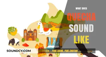 Exploring the Unique Sounds and Rhythms of Quechua Language