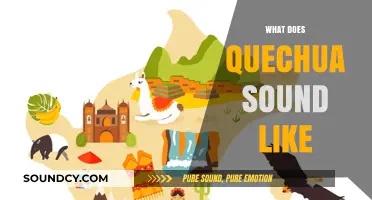 Exploring the Unique Sounds and Rhythms of Quechua Language