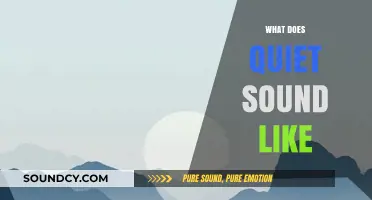 Exploring the Serene Symphony: What Does Quiet Sound Like?