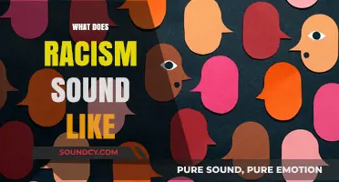 Unveiling Racism's Voice: Recognizing Harmful Language and Its Impact