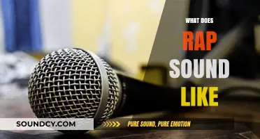 Exploring Rap's Unique Sound: Rhythms, Rhymes, and Raw Energy Explained