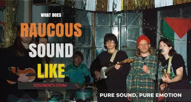 Unveiling the Chaotic, Boisterous, and Energetic Essence of Raucous Sounds