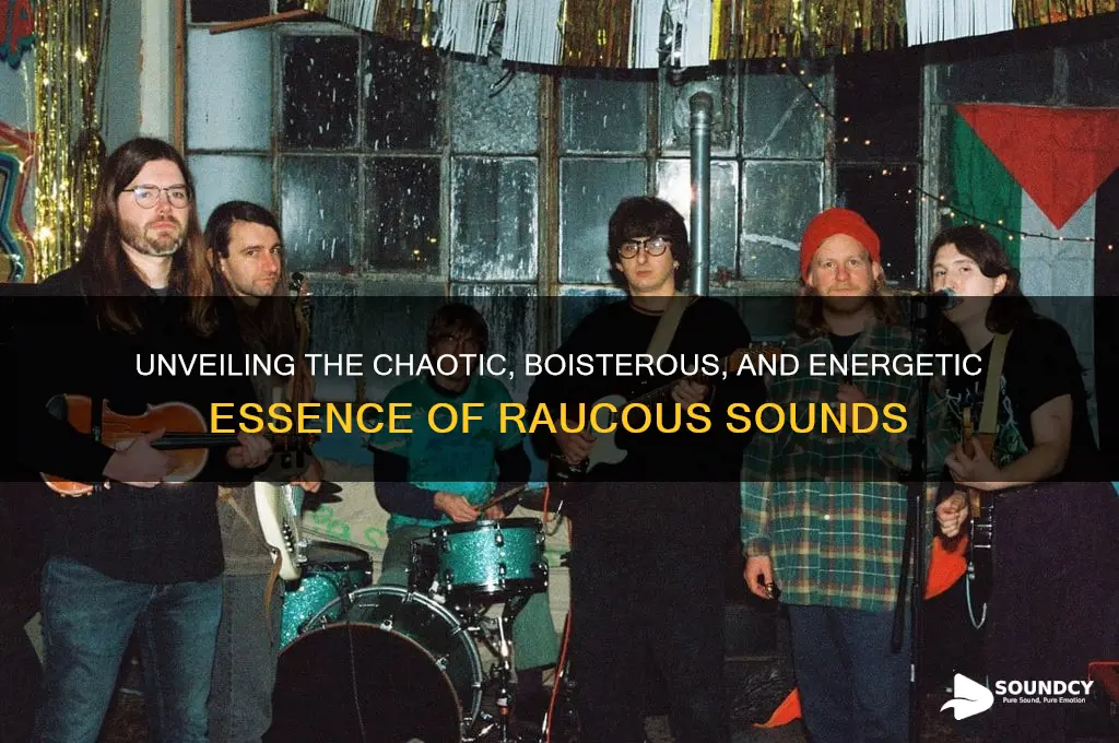 what does raucous sound like