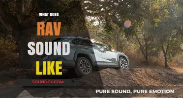 Unveiling the Unique Sonic Signature: What Does Rav Sound Like?
