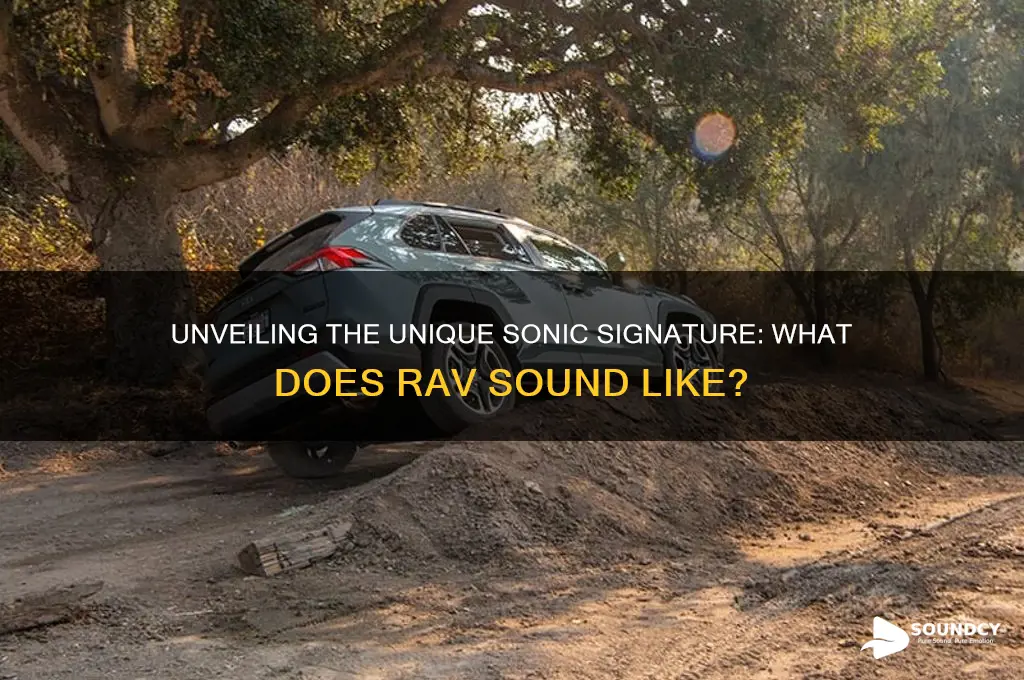 what does rav sound like